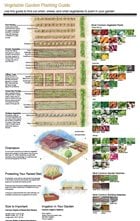 Vegtable Garden Planting Guide PDF