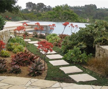 Swimming Pool
Amelia B. Lima & Associates
San Diego, CA