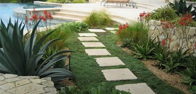 Wide Landscape Walkway