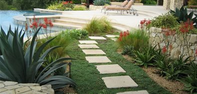 Amelia B. Lima & Associates