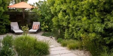 Amy Williams Photography
Santa Monica, CA