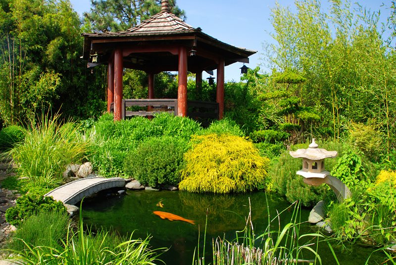 Asian Koi Pond
Pond and Waterfall
Landscaping Network
Calimesa, CA