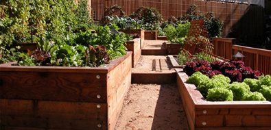 Raised Bed Gardens