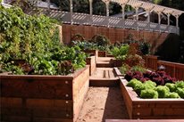 Garden Design
Avant Garden
San Anselmo, CA