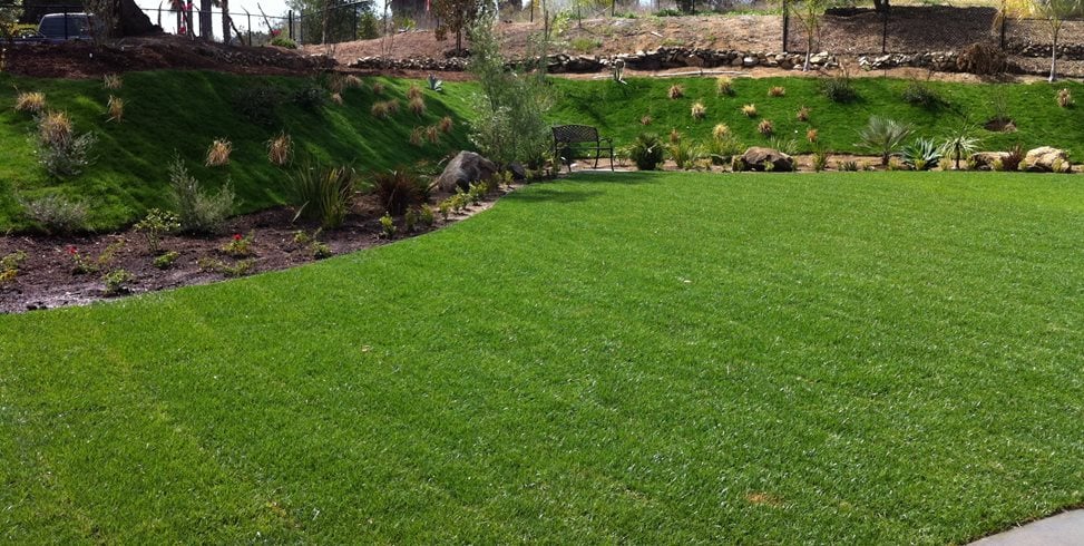 Backyard Lawn, Grass Hillside
Aloha Landscape
Murrieta, CA