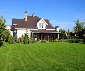 Grass Seed Installation