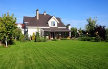 Cost of a Seed Lawn