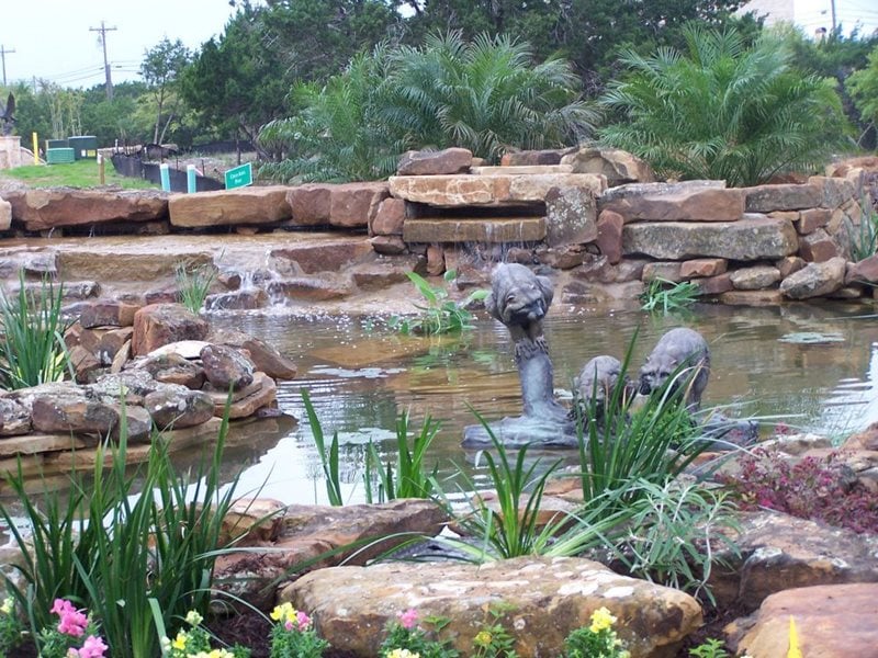 Backyard Pond, Racoon Sculpture
Pond and Waterfall
GreenScapes Landscaping and Pools
Austin, TX