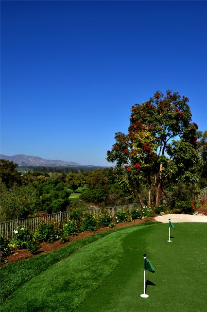 Backyard Putting Green
Backyard Landscaping
The Green Scene
Chatsworth, CA