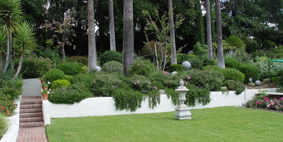 Backyard Slope
Maureen Gilmer
Morongo Valley, CA