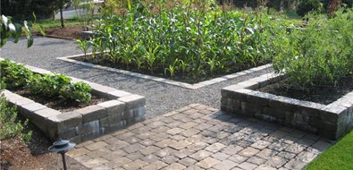 Backyard Vegetable Garden