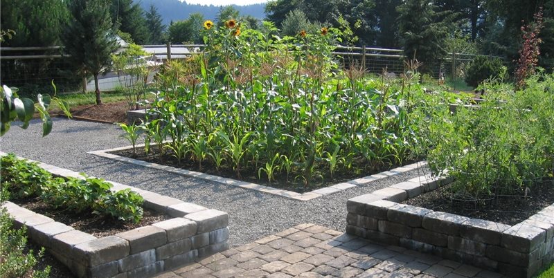 Backyard Vegetable Garden
Woody's Custom Landscaping Inc
Battle Ground, WA