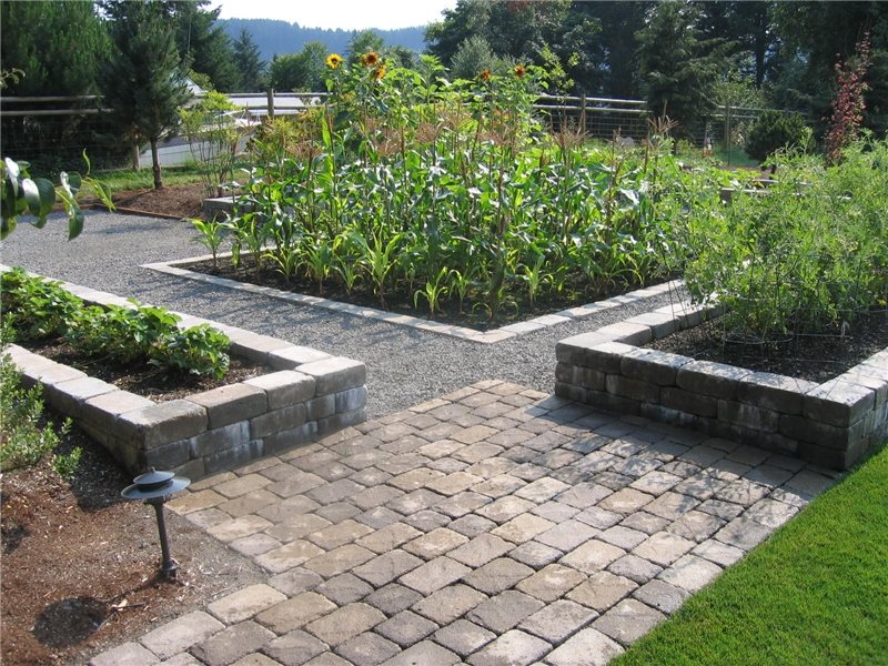 Backyard Vegetable Garden
Garden Design
Woody's Custom Landscaping Inc
Battle Ground, WA