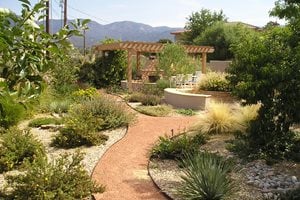 Backyard Xeriscape Garden, Pergola, Fireplace
Backyard Landscaping
Red Twig Studio
Albuquerque, NM