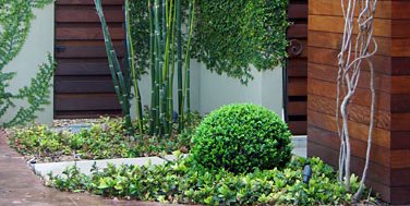 Bamboo, Boxwood
Decor and Accessory
David Wilson Garden Design
Austin, TX