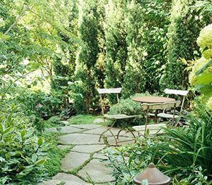 11 Solutions for Small Space Landscapes 