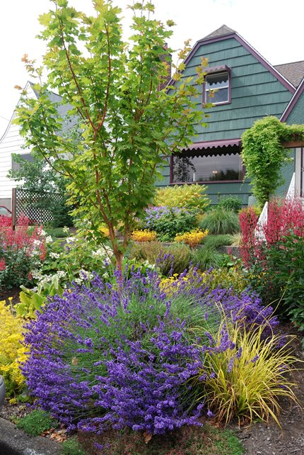 Blooming Washington Garden
Garden Design
N.W. Bloom
Mill Creek, WA