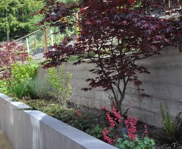Board Formed Concrete, Retaining Wall
Huettl Landscape Architecture
Walnut Creek, CA