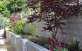 Board Formed Concrete, Retaining Wall
Huettl Landscape Architecture
Walnut Creek, CA