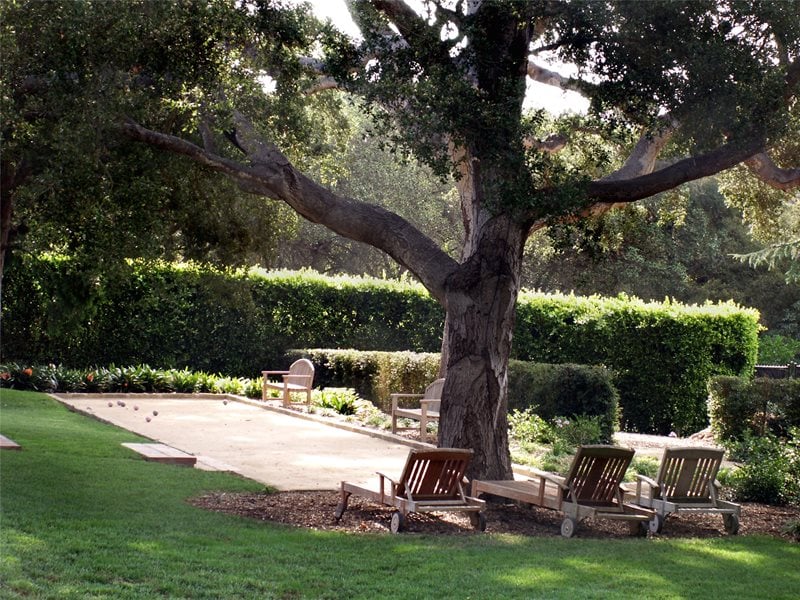 Bocce Ball Court
Backyard Landscaping
Grace Design Associates
Santa Barbara, CA