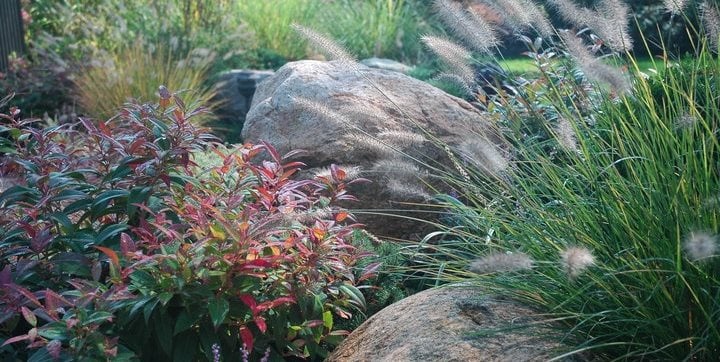 Boulders, Grasses
Barry Block Landscape Design & Contracting
East Moriches, NY