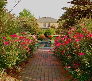 Brick, Path
Liquidscapes
Pittstown, NJ