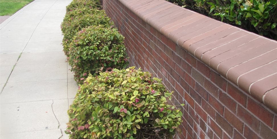 Brick, Retaining Wall
Retaining and Landscape Wall
Landscaping Network
Calimesa, CA