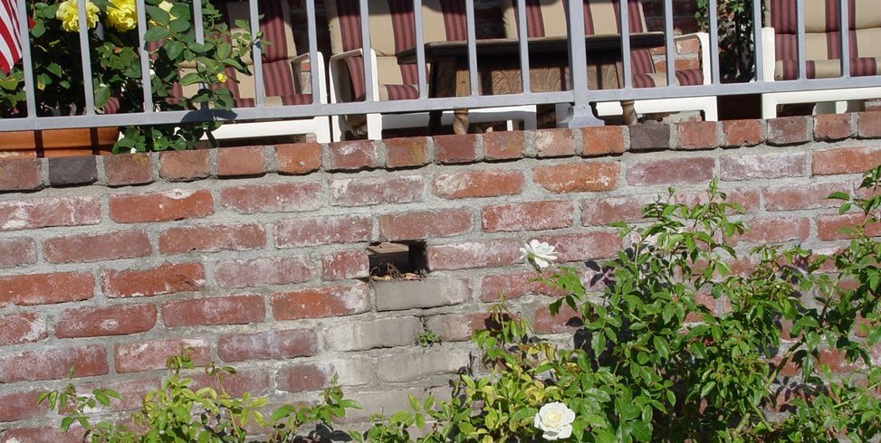 Brick Wall, Drain
Maureen Gilmer
Morongo Valley, CA
