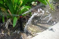 Broken Sprinkler
A-Plus Sprinkler and Landscape
Crestline, CA