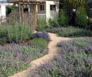 California's Own Native Landscape Design
Escondido, CA