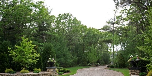 Cape Cod Driveway
Mediterranean Landscaping
Elaine M. Johnson Landscape Design
Centerville, MA