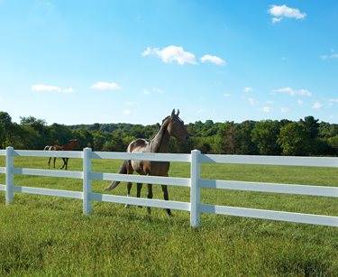 Certainteed
CertainTeed
