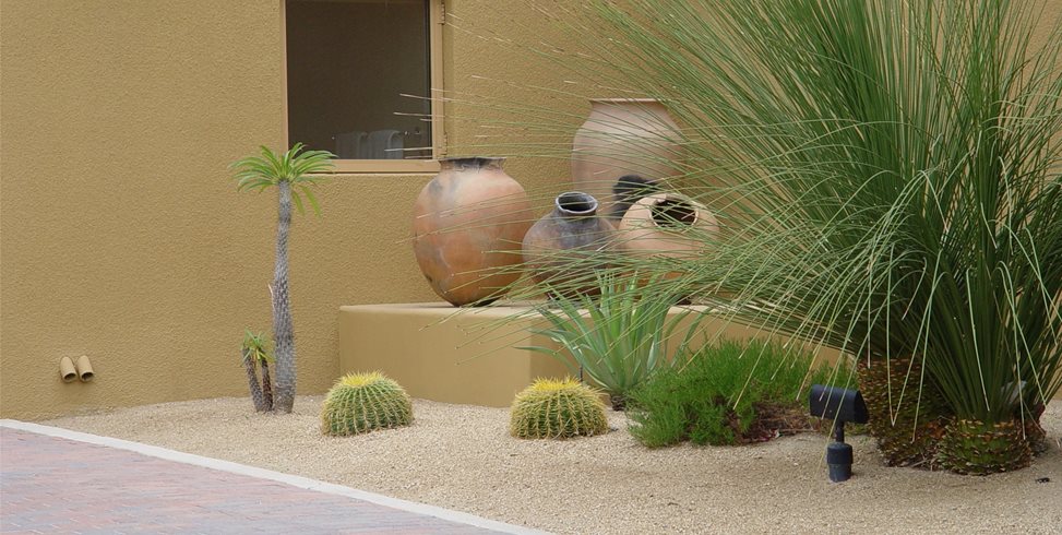 Clearance
Maureen Gilmer
Morongo Valley, CA