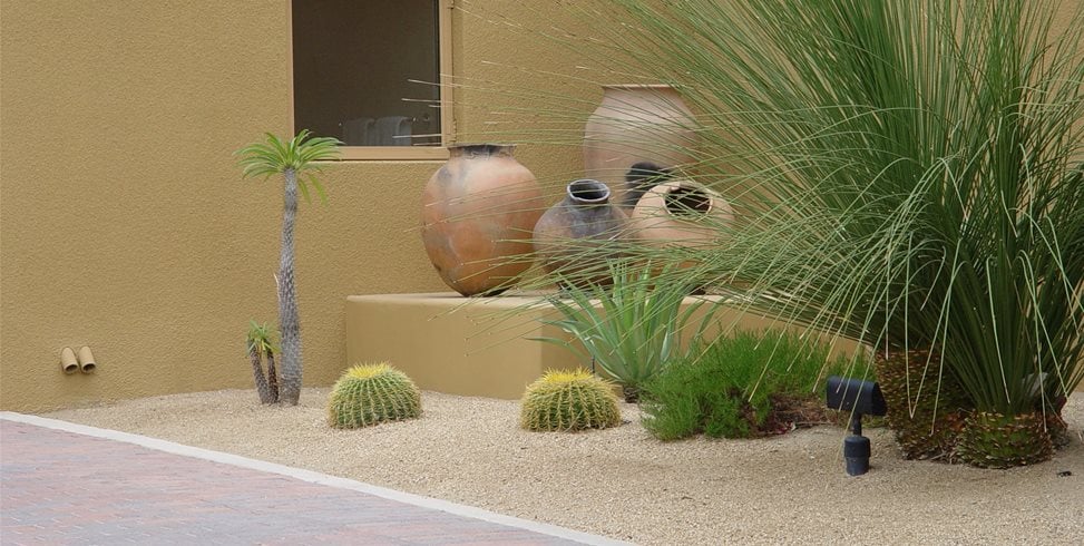 Clearance
Maureen Gilmer
Morongo Valley, CA