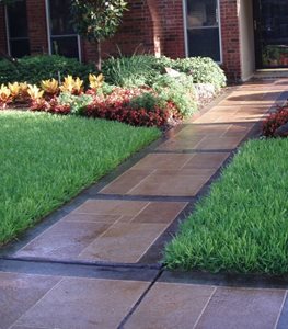 Colored Concrete Walkway
Backyard Creations
Carrollton, TX