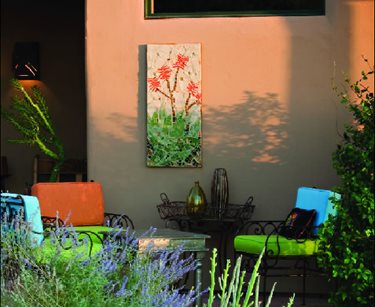 colorful desert plants