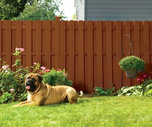 Composite Fence
Swimming Pool
TimberTech
Wilmington, OH