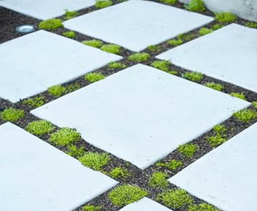 Concrete Pads, Square, Modern, Joints
Ag-Trac Enterprises
Logan, UT