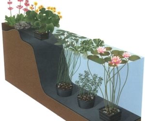 Crystal Creek Pond Supply
Lake Ann, MI