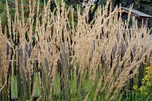 Daryl Mitchell
Photo used under Creative Commons, 