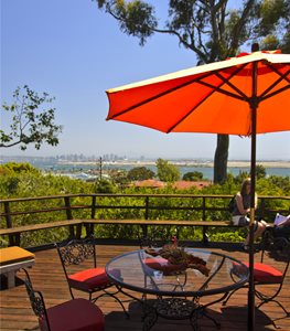 Desert Landscape Planting 