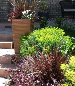 Fantastic Foliage Combo