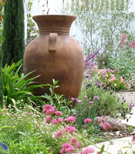 Mediterranean Plant Combo