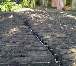 Drip Irrigation, Sub Surface
Walkway and Path
Aesthetic Gardens
Mountain View, CA