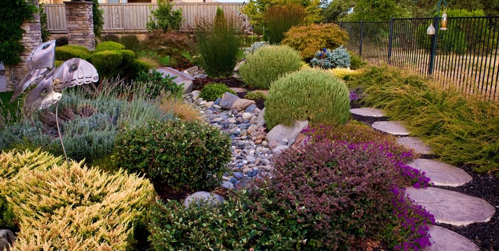 Dry Stream Bed, Drought Tolerant Landscape
Simple Elegance
Rocklin, CA