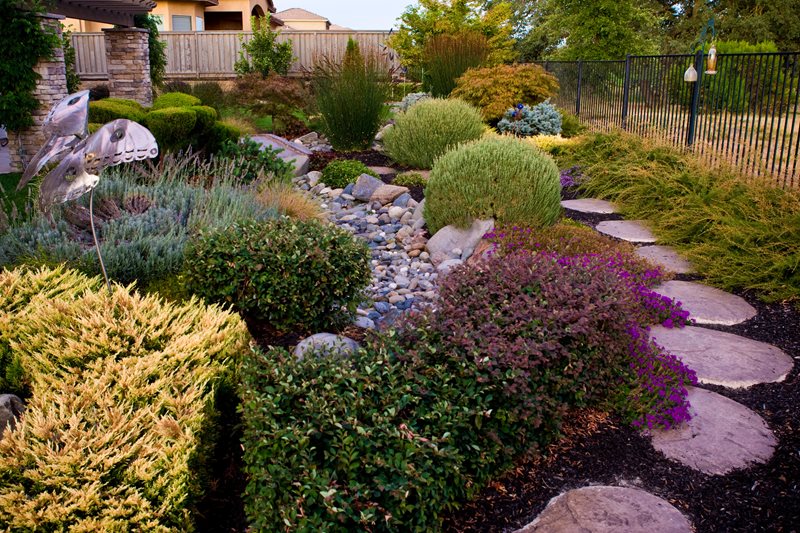 Dry Stream Bed, Drought Tolerant Landscape
Garden Design
Simple Elegance
Rocklin, CA
