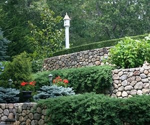 Walkway and Path
Elaine M. Johnson Landscape Design
Centerville, MA