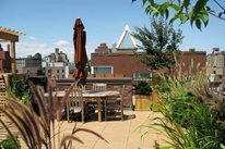 New York Landscaping
Elevations NY
Brooklyn, NY