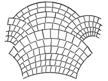 European Fan, Concrete Pattern
Landscaping Network
Calimesa, CA