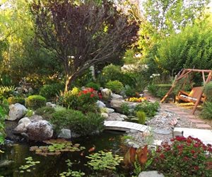 Exotic Aquatics, The Pond Diggers
Yucaipa, CA